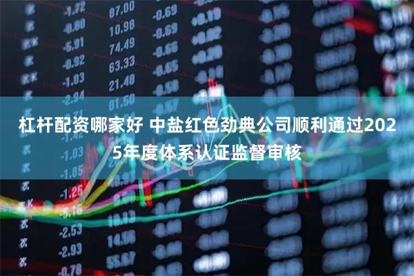 杠杆配资哪家好 中盐红色劲典公司顺利通过2025年度体系认证监督审核