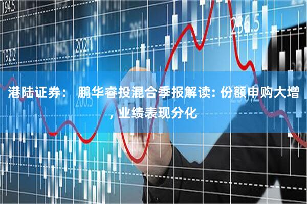 港陆证券： 鹏华睿投混合季报解读: 份额申购大增, 业绩表现分化