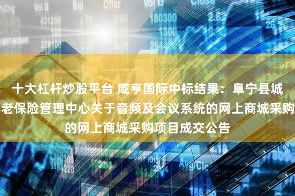 十大杠杆炒股平台 咸亨国际中标结果：阜宁县城乡居民社会养老保险管理中心关于音频及会议系统的网上商城采购项目成交公告