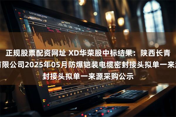 正规股票配资网址 XD华荣股中标结果：陕西长青能源化工有限公司2025年05月防爆铠装电缆密封接头拟单一来源采购公示